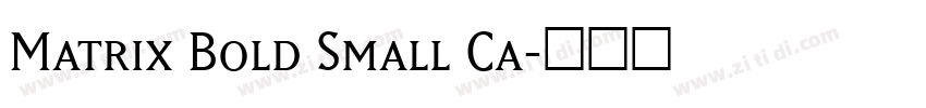 Matrix Bold Small Ca字体转换